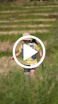 BIB:  <button type="button" onclick="openModal(26787003)" class="btn btn-primary btn-sm float-right" data-toggle="modal" data-target=".modal-high-quality">
                <i class="fa fa-download"></i> Download
                </button>